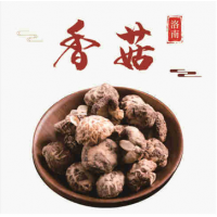 洛南縣鳳鳴山香菇盒裝500g